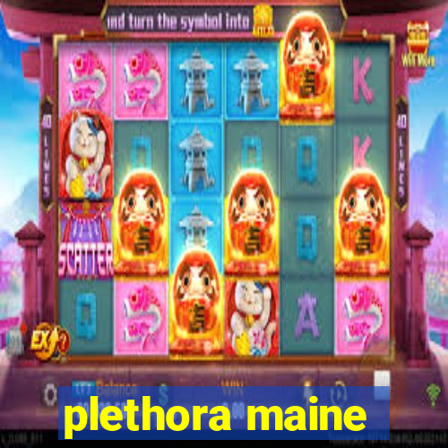 plethora maine